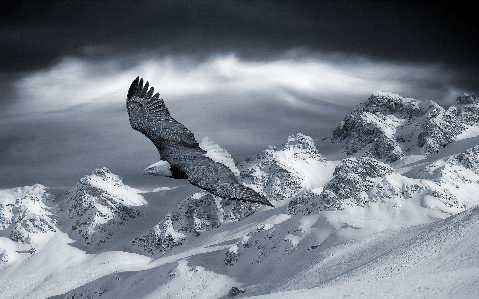 Орел Зимой Фото
