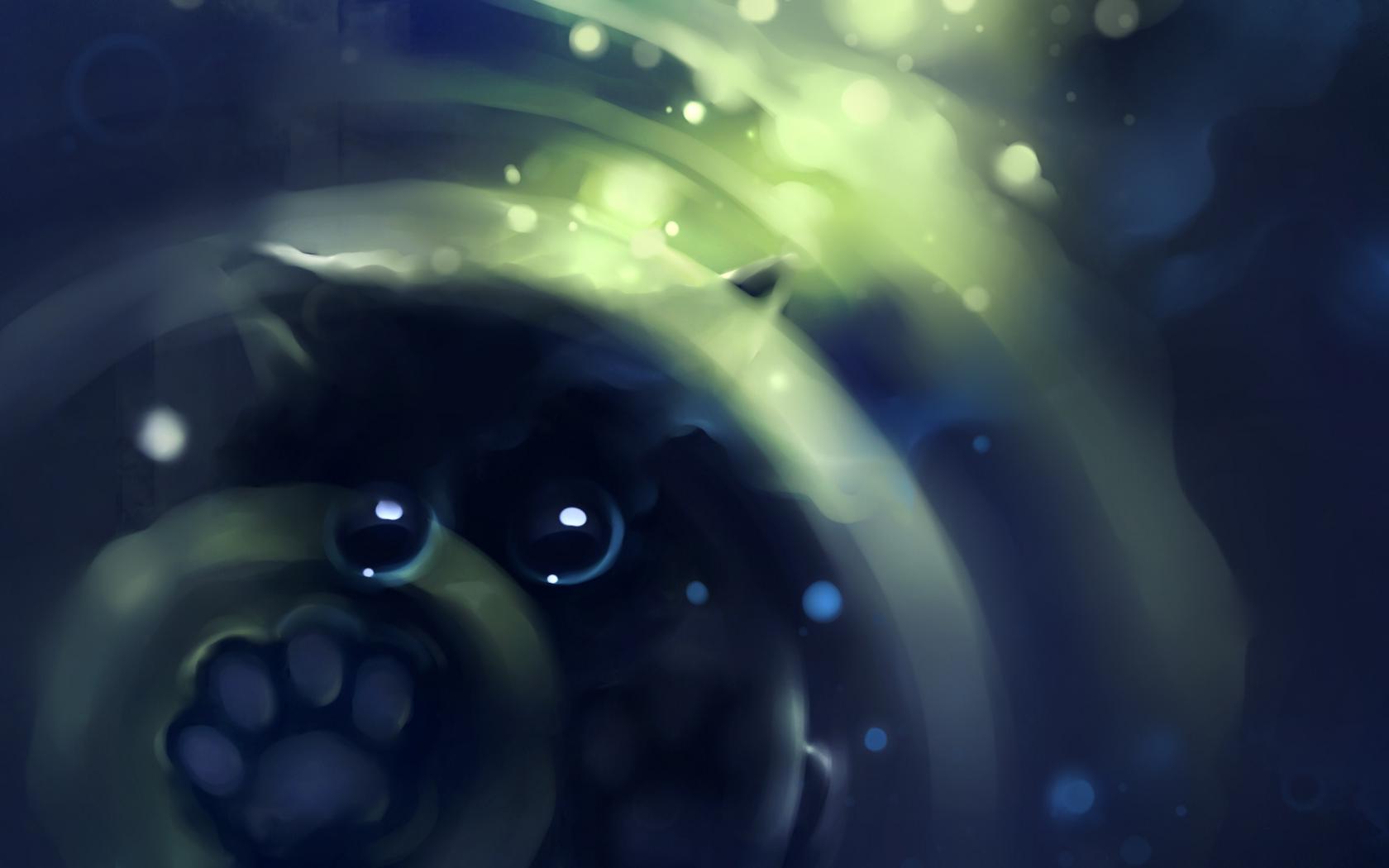 Рисунок, котэ Животные картинки, обои рабочий стол